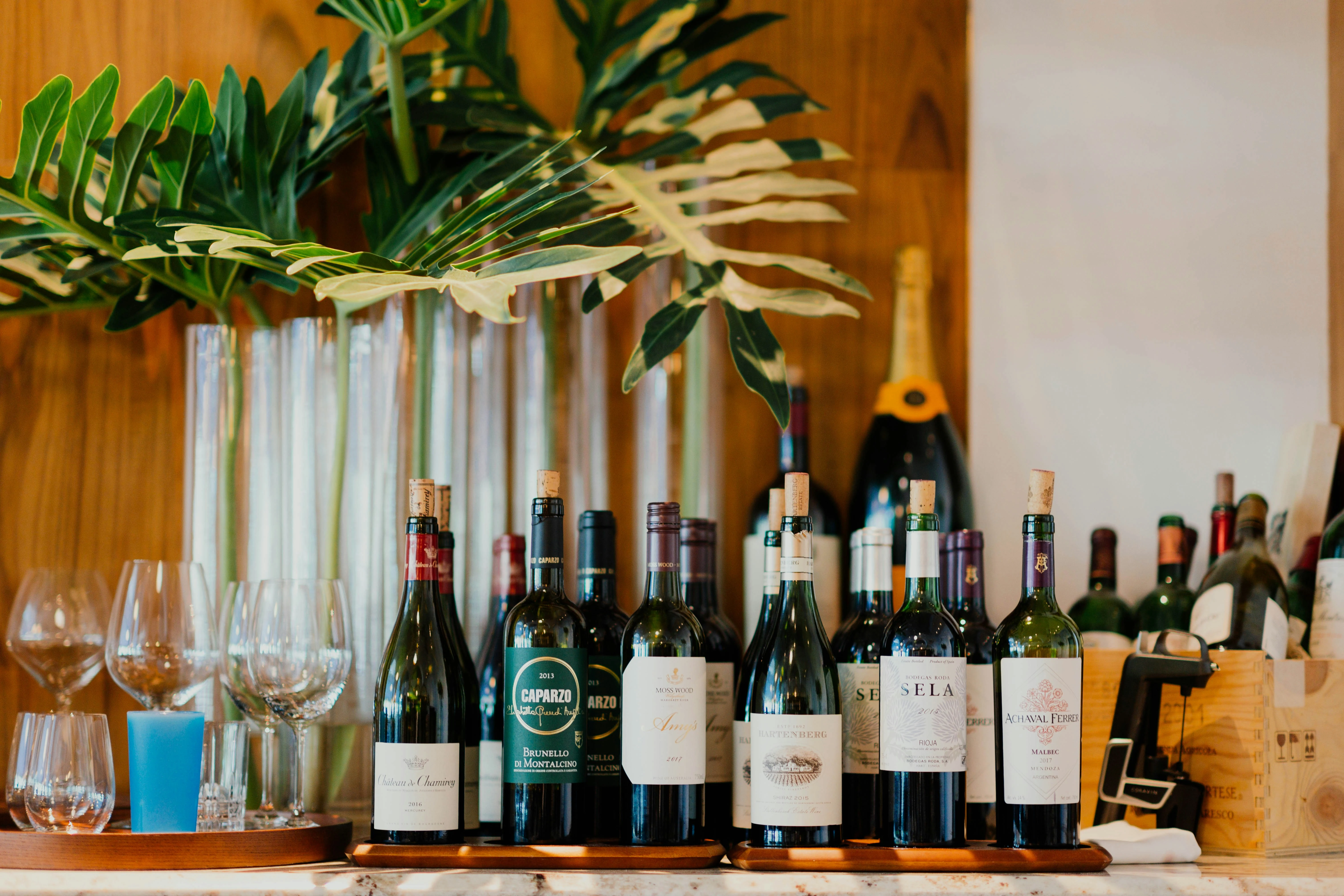 Adelaide Wine Tours